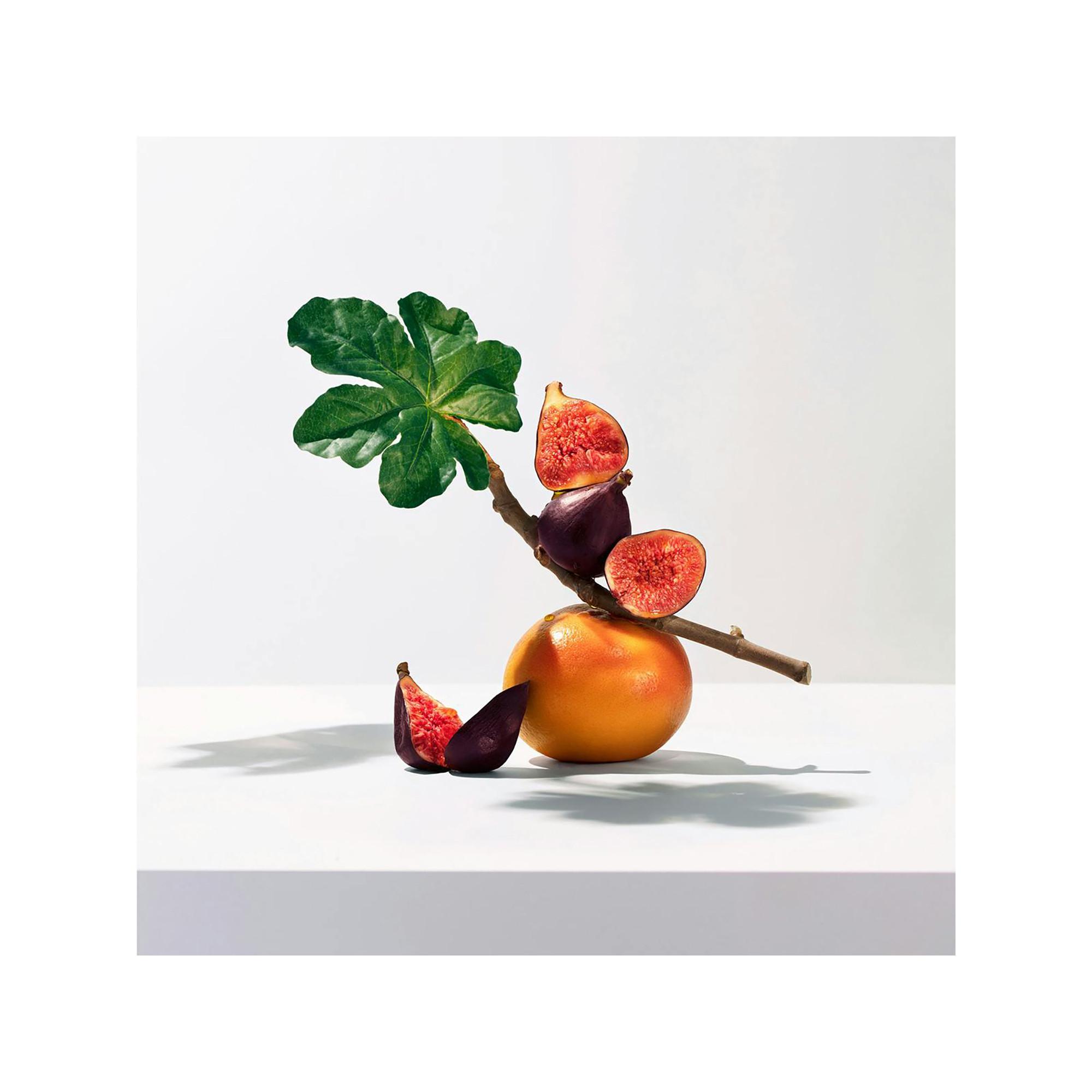 ROGER & GALLET RG FDF Parfum Solide Fleur de Figuier Profumo Solido di Benessere  