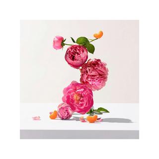 ROGER & GALLET RG Rose Parfum Solide Rose Fester Wohlfühl-Duft  