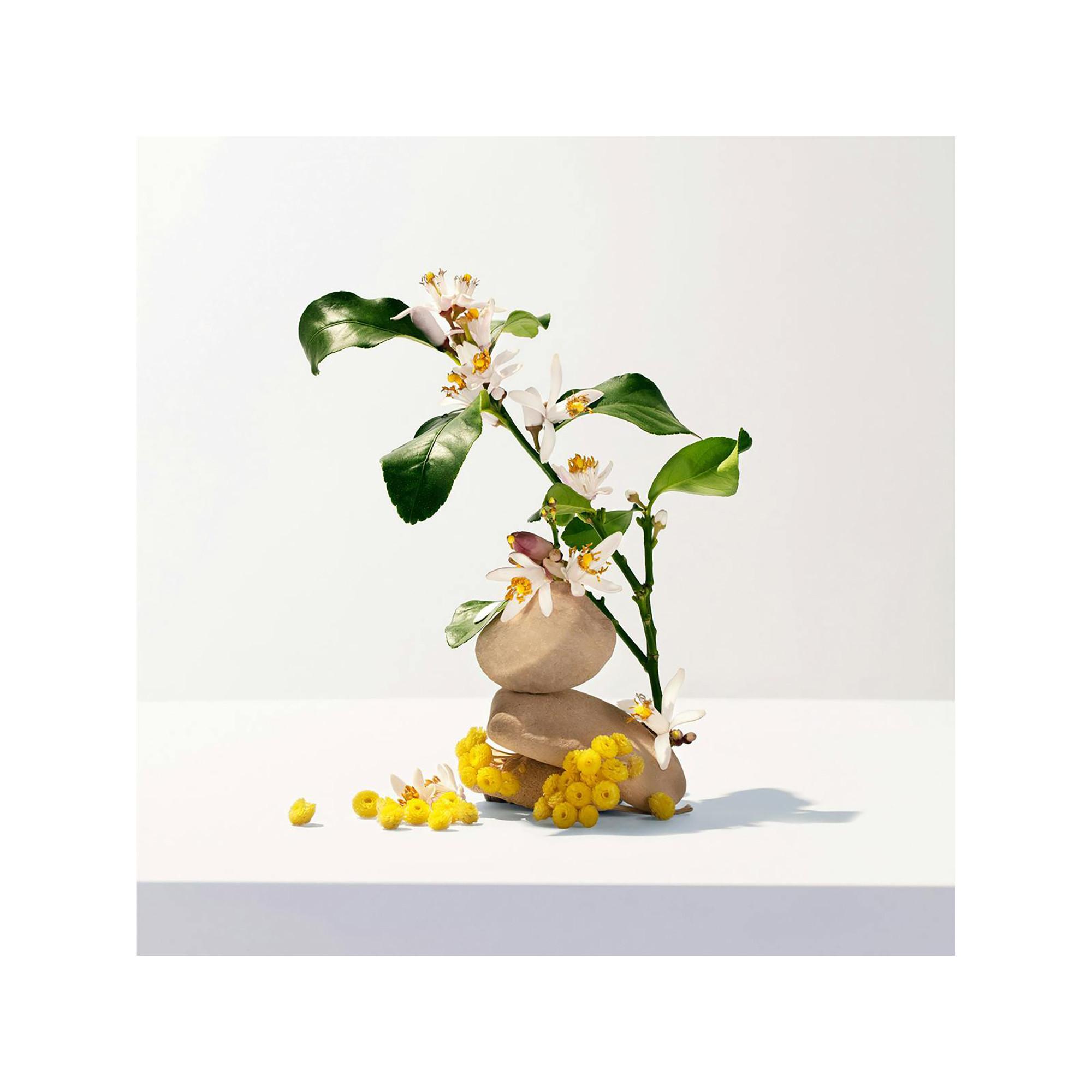 ROGER & GALLET RG Neroli Parfum Solide Neroli Parfum Solide Bienfaisant  