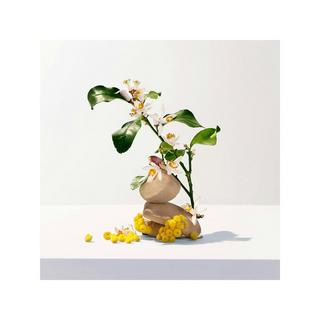 ROGER & GALLET RG Neroli Parfum Solide Neroli Parfum Solide Bienfaisant  