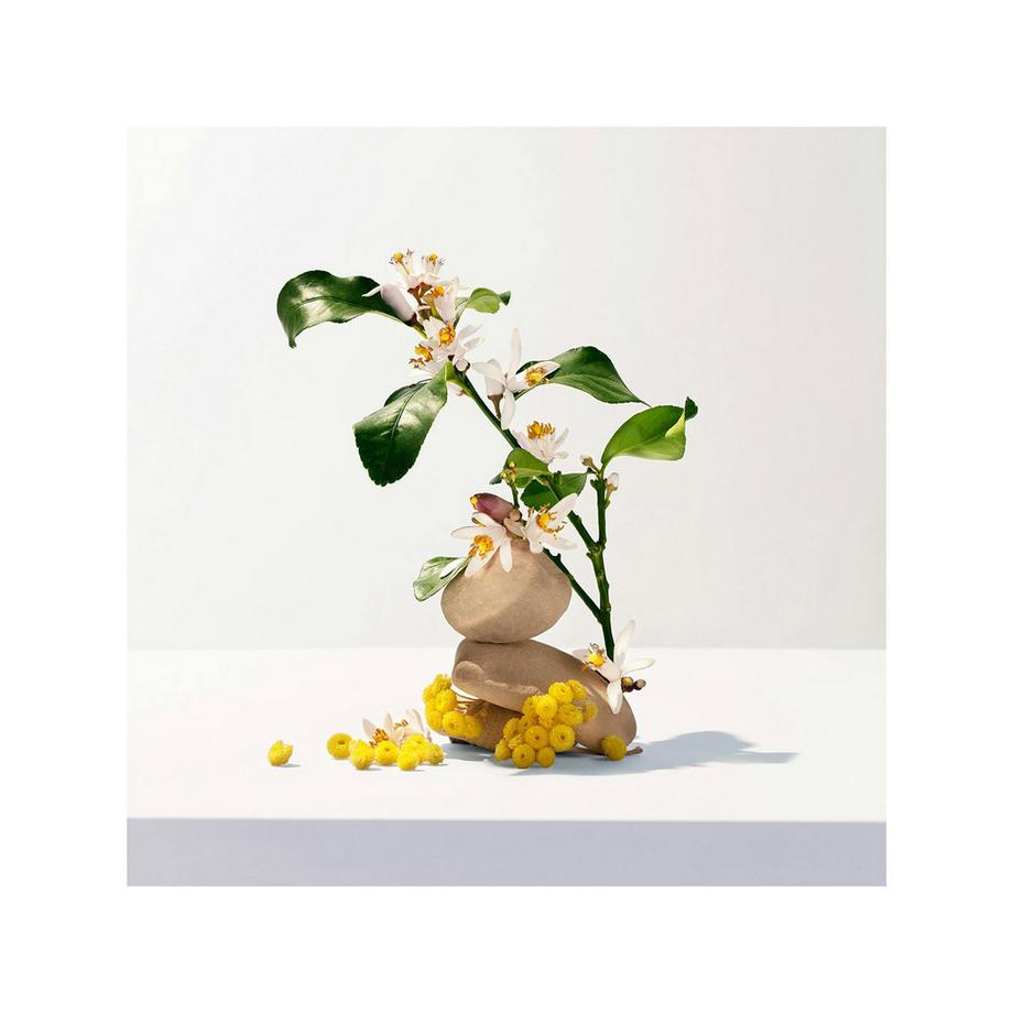 ROGER & GALLET RG Neroli Parfum Solide Neroli Parfum Solide Bienfaisant  