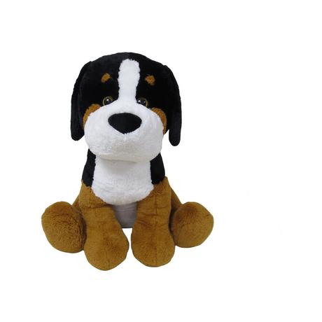 Shanghai Bear Hugs  Chien du Saint-Bernard 