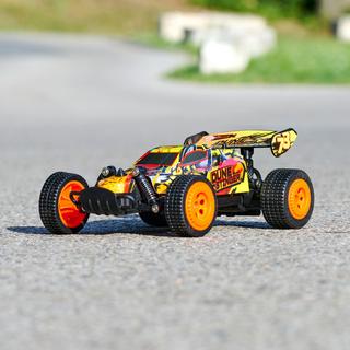 Dickie  RC Dickie Dune Stinger, RTR 