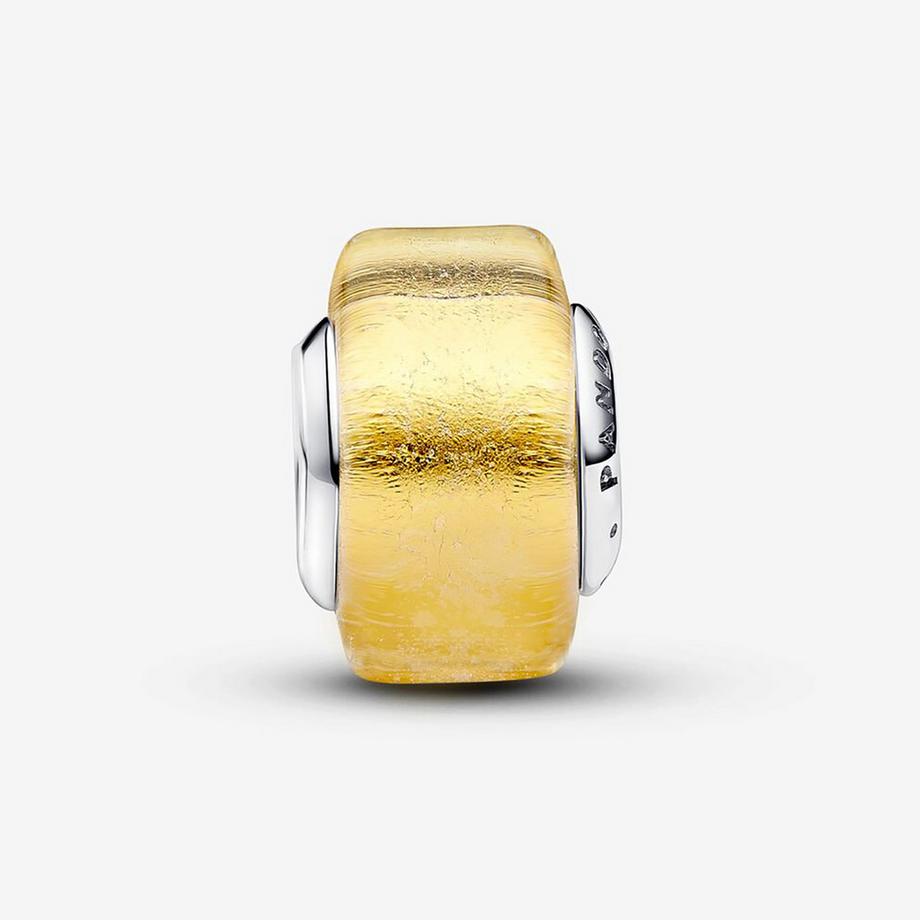 PANDORA Pandora Moments Charm 