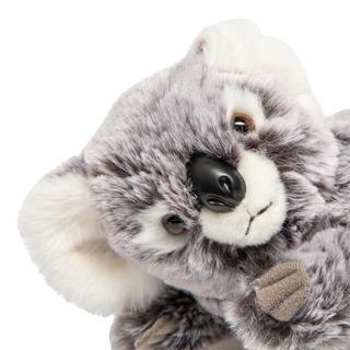 Leosco  Koala 