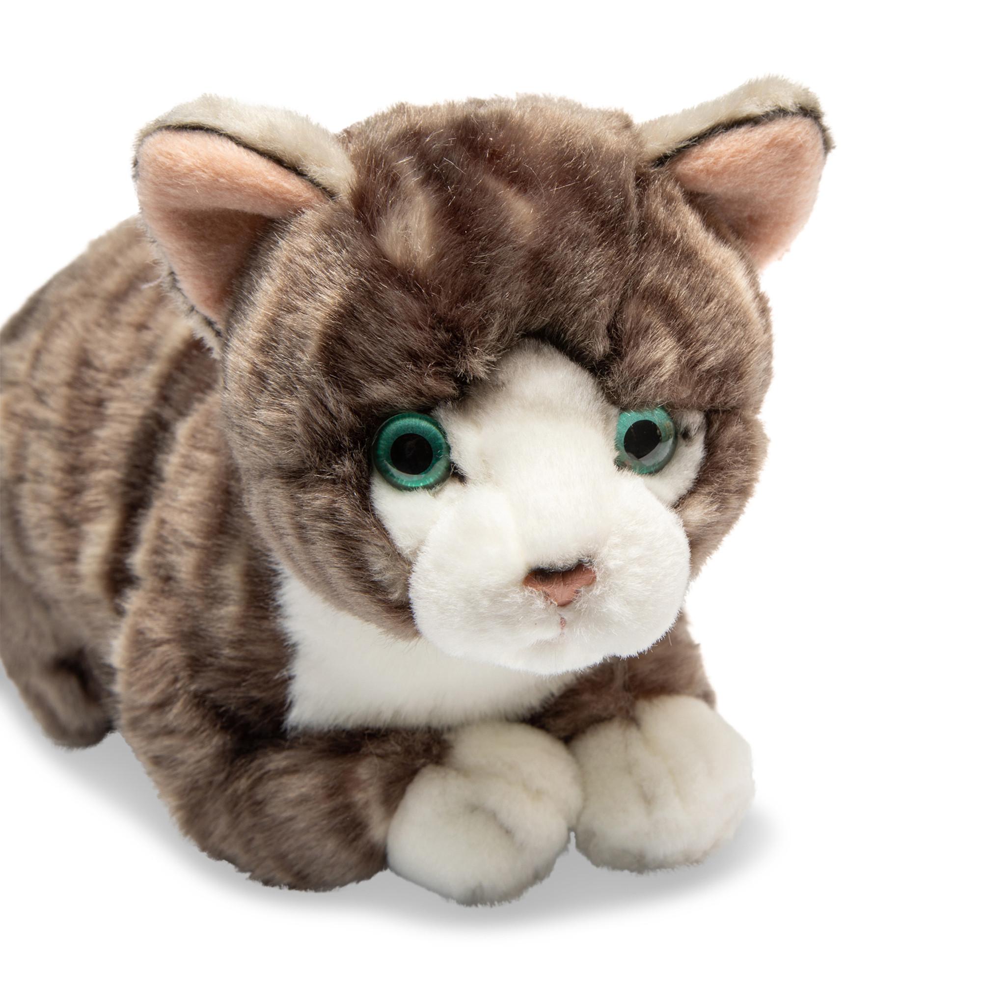 Leosco  Gatto grigio 