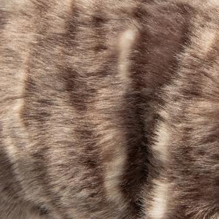 Leosco  Gatto grigio 