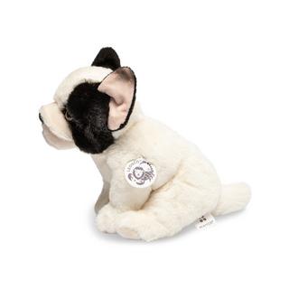 Leosco  French Bulldog 