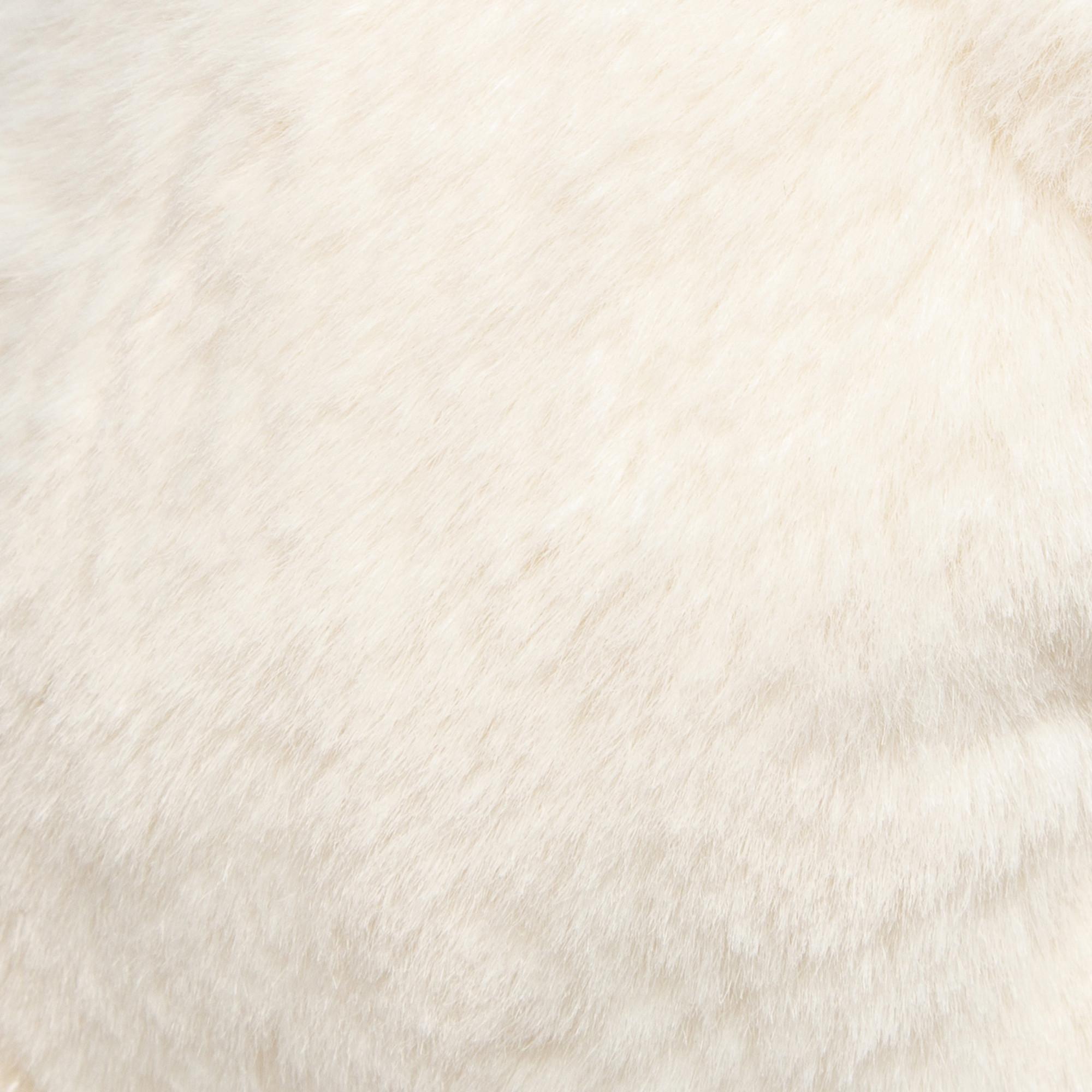 Leosco  French Bulldog 