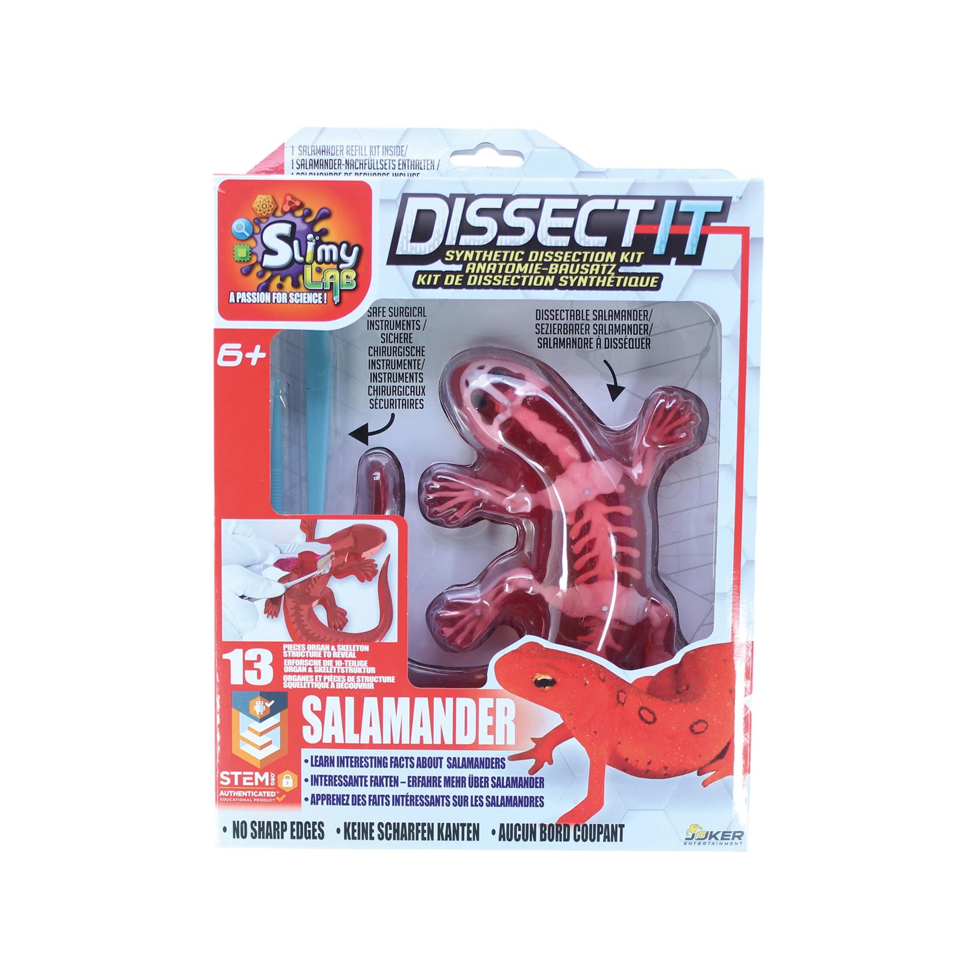 JOKER  Dissect-it Salamander - Synthetic Dissection Kit 