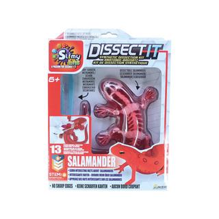 JOKER  Dissect-it Salamander - Synthetic Dissection Kit 