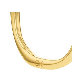 Calvin Klein ELEMENTAL Creolen 