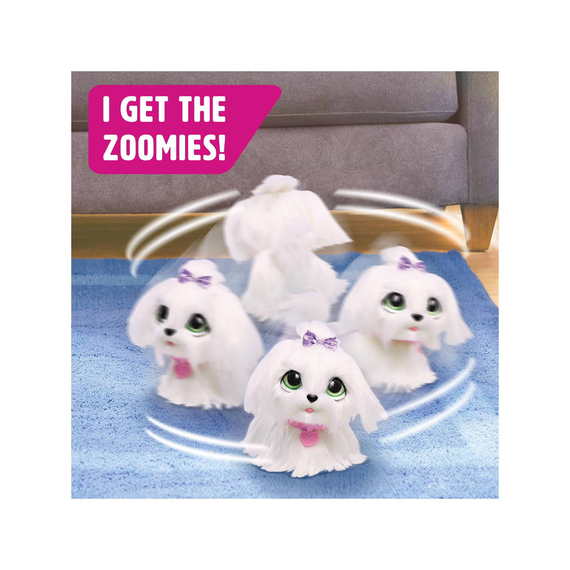 FurReal friends  Gogo, petit chien qui marche 