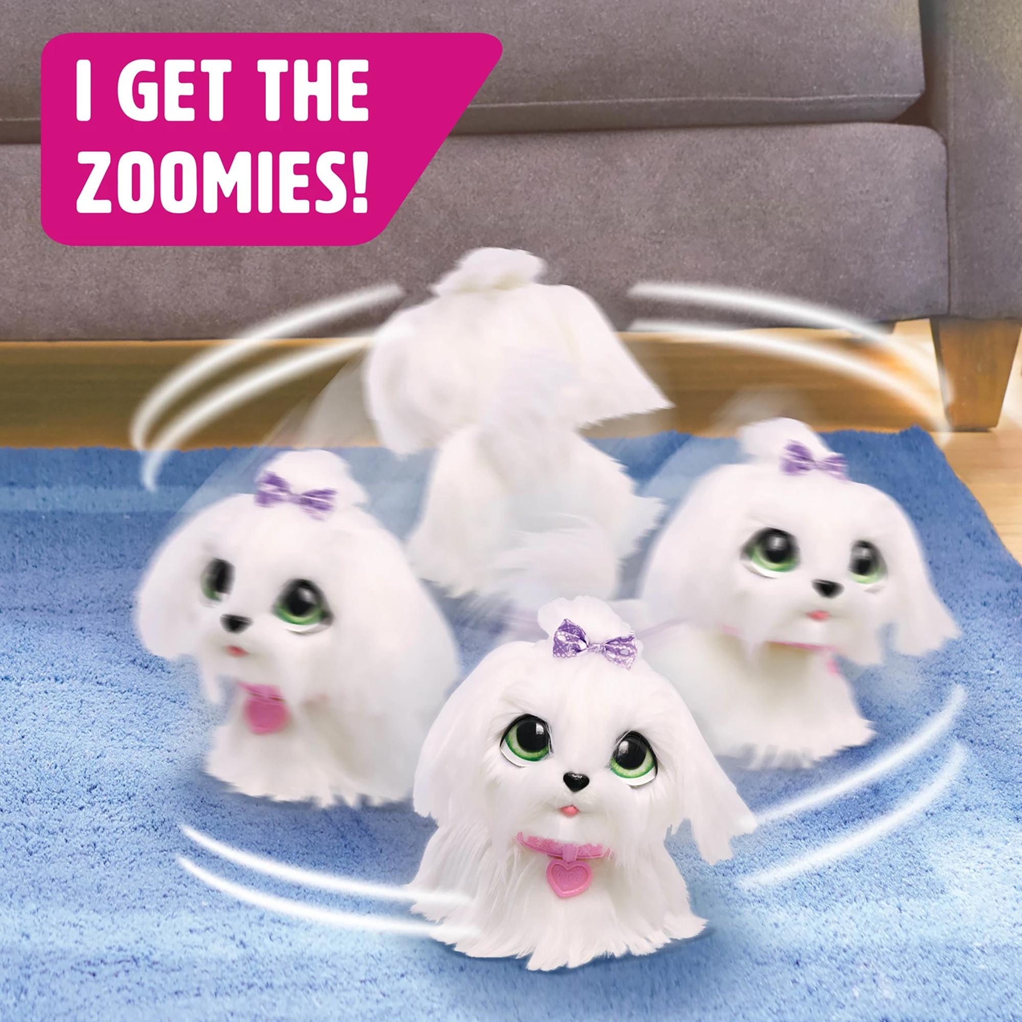 FurReal friends  Gogo, petit chien qui marche 