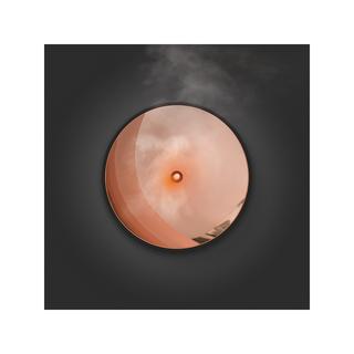 Stadler Form Diffuseur d'arômes Zoe 