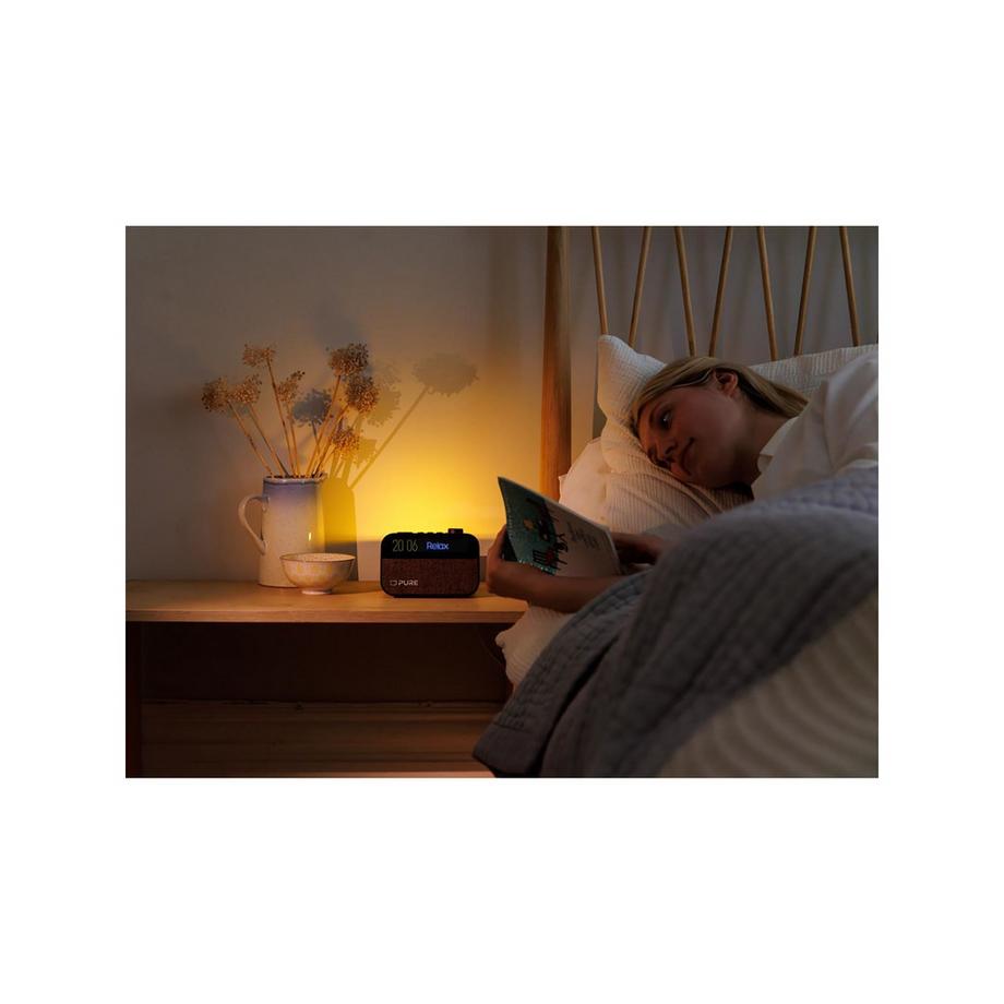 Pure Moment Radio-réveil 