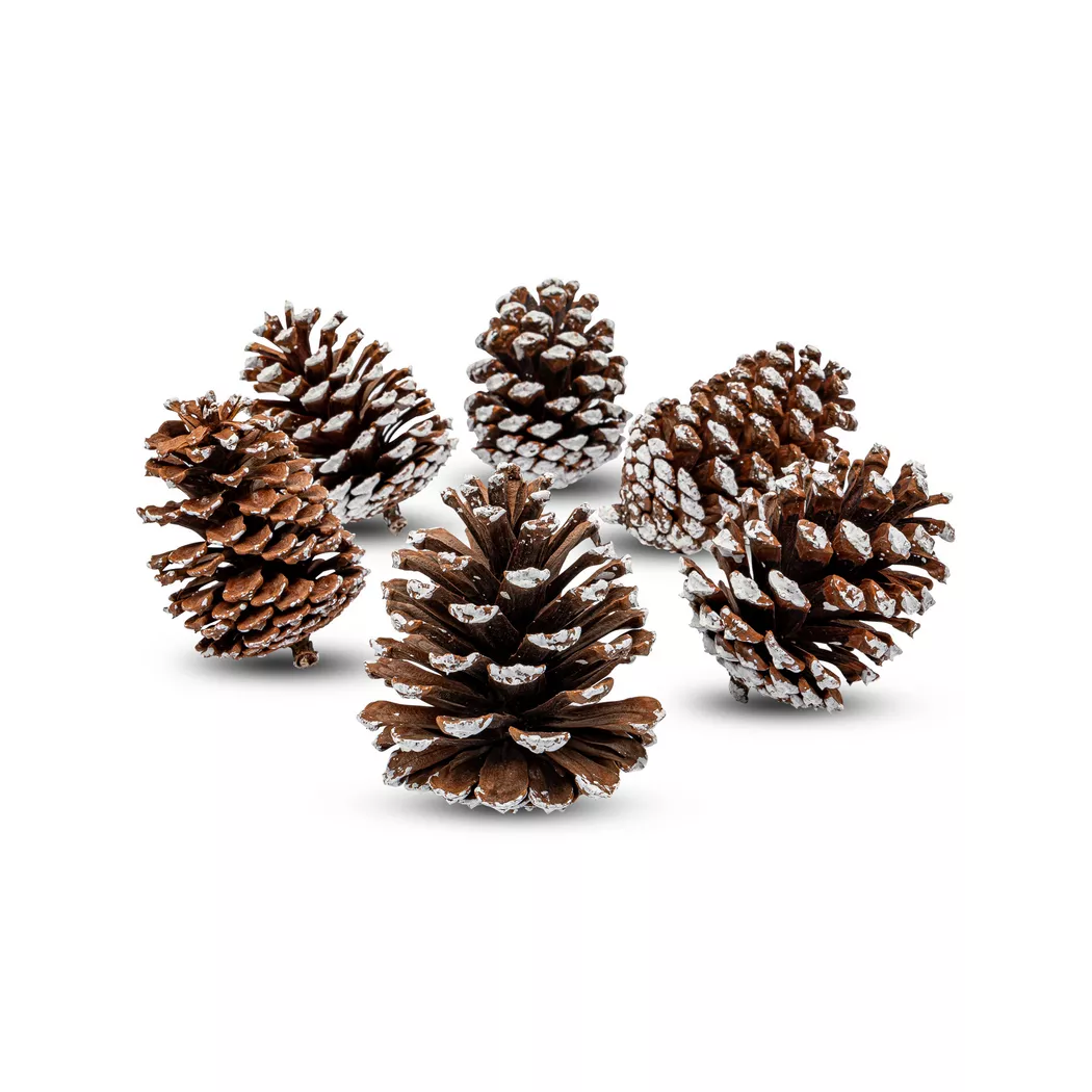 Manor - Baumschmuck Set, 6 Stück, Dunkelbraun