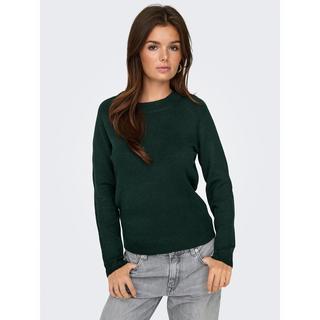ONLY ONLRICA LIFE Strickpullover  