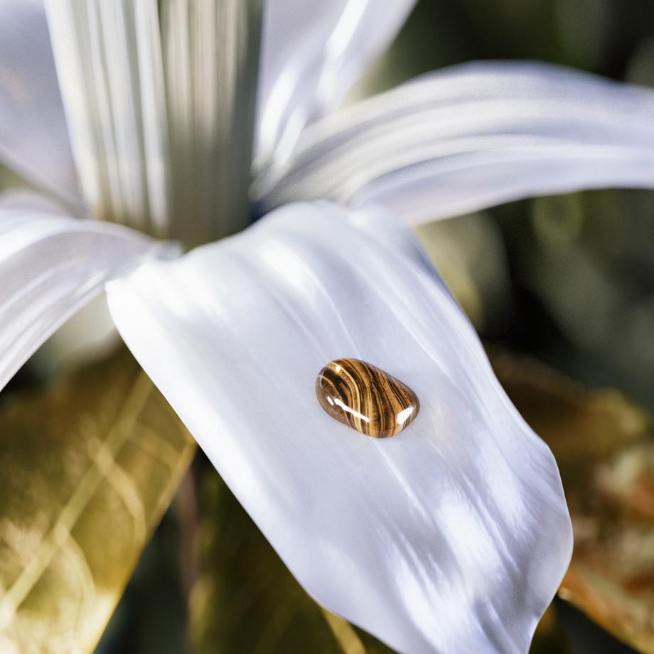 BVLGARI Le Gemme Tygar, Eau de Parfum  