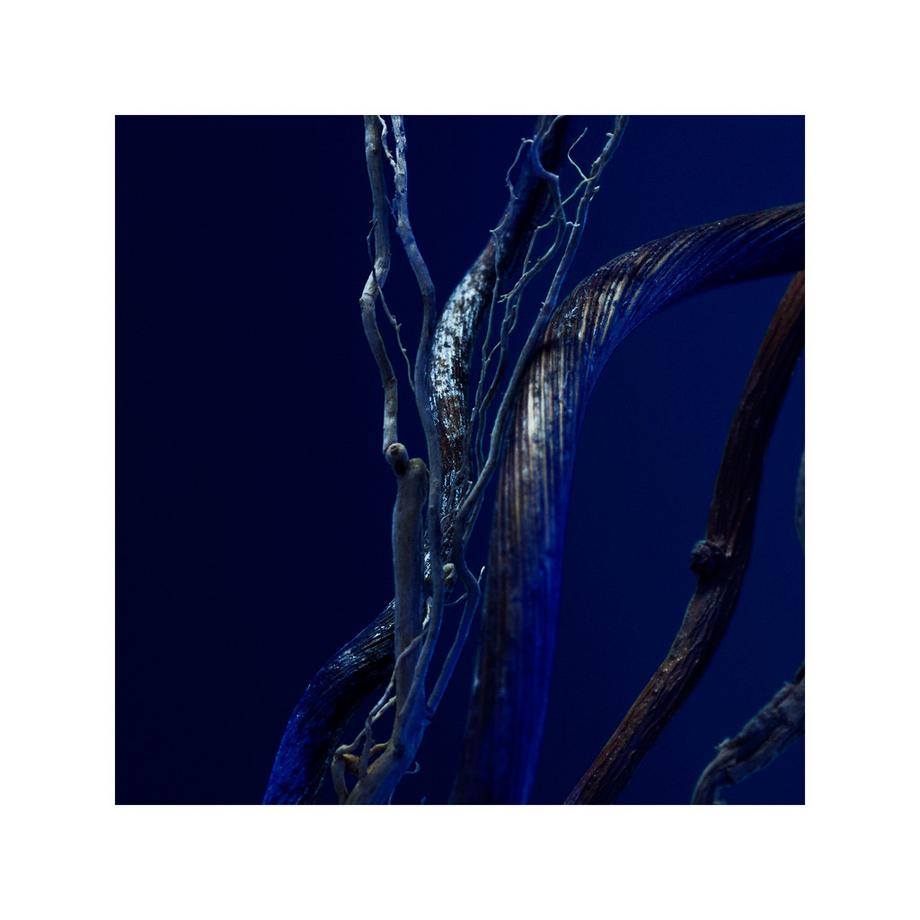 HUGO BOSS Triumph Elixir Parfum Intense  