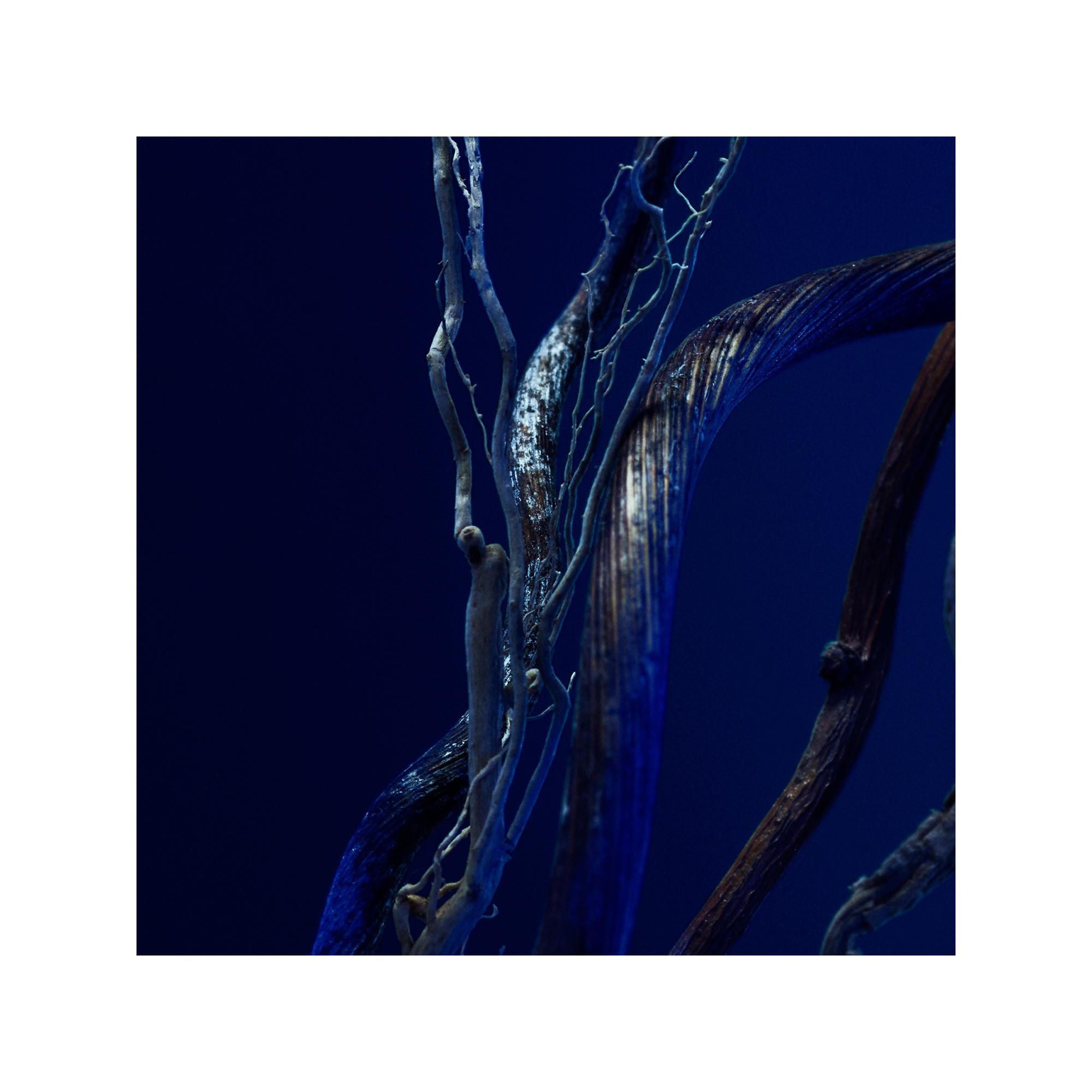 HUGO BOSS Triumph Elixir Parfum Intense  