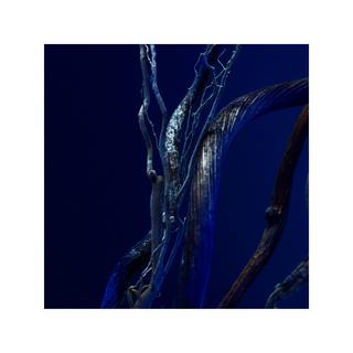 HUGO BOSS Triumph Elixir Parfum Intense  