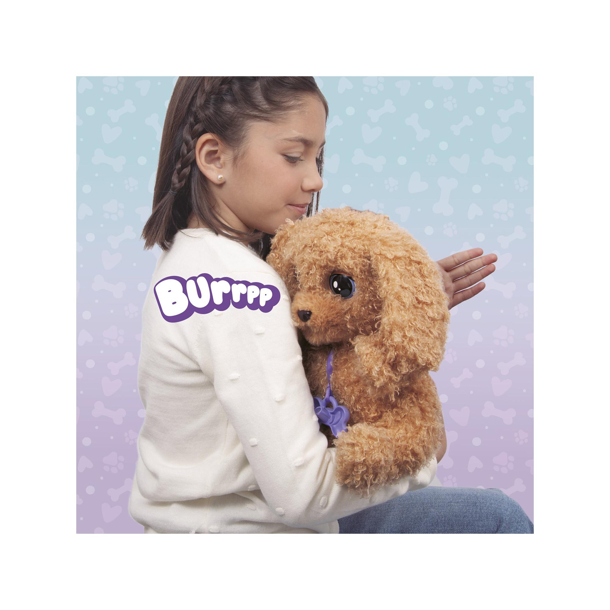 IMC Toys  Baby Paws Love & Care Labradoodle 