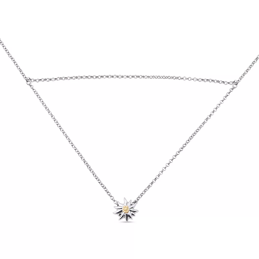 Swiss Edelweiss - Halskette, 42.5CM, Silber 2