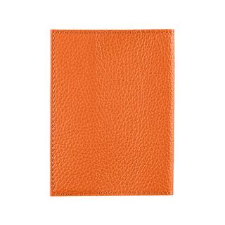 PACK EASY Reisepass Schützhülle PassaPorto Dollarino 