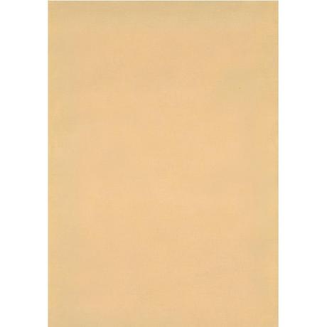 STEWO INTERNATIONAL Papier cadeau Uni 