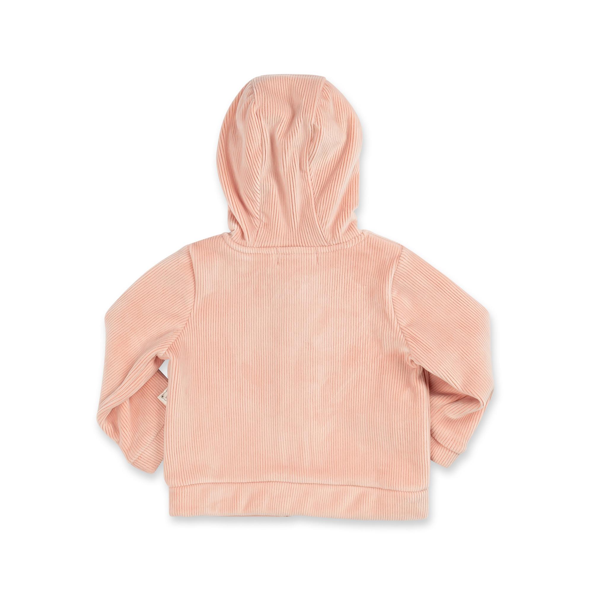 Manor Baby  Hoodie 