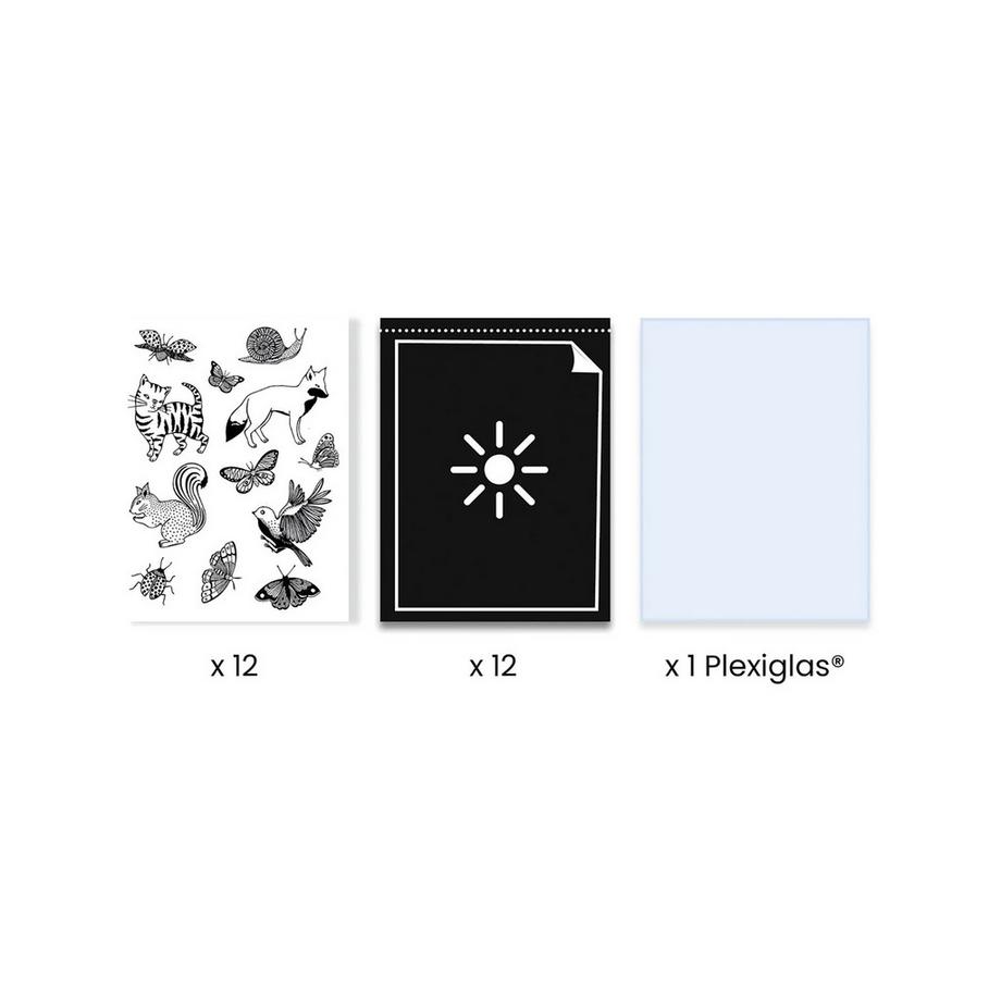 Djeco Kit per il fai da te  