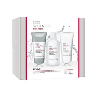 BAYLIS & HARDING Wellness For Men Everyday Revival  Geschenkset 