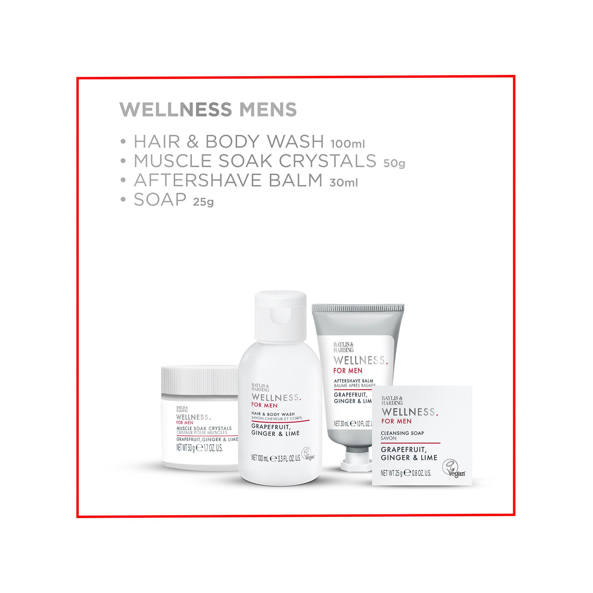 BAYLIS & HARDING Wellness For Men His Essential Wellbeing Coffret cadeau 