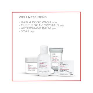 BAYLIS & HARDING Wellness For Men His Essential Wellbeing Geschenkset 