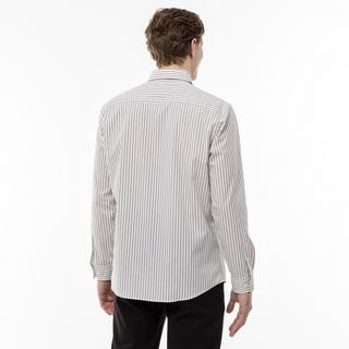 CALVIN KLEIN Hemden POPLIN TRIO STRIPE REGULAR SHIRT Camicia, regular fit, maniche lunghe 