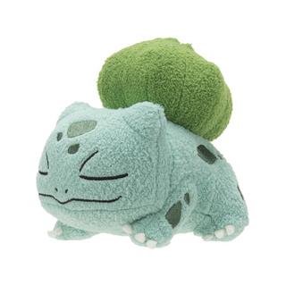 Pokémon  Pokémon di peluche addormentati, modelli assortiti 