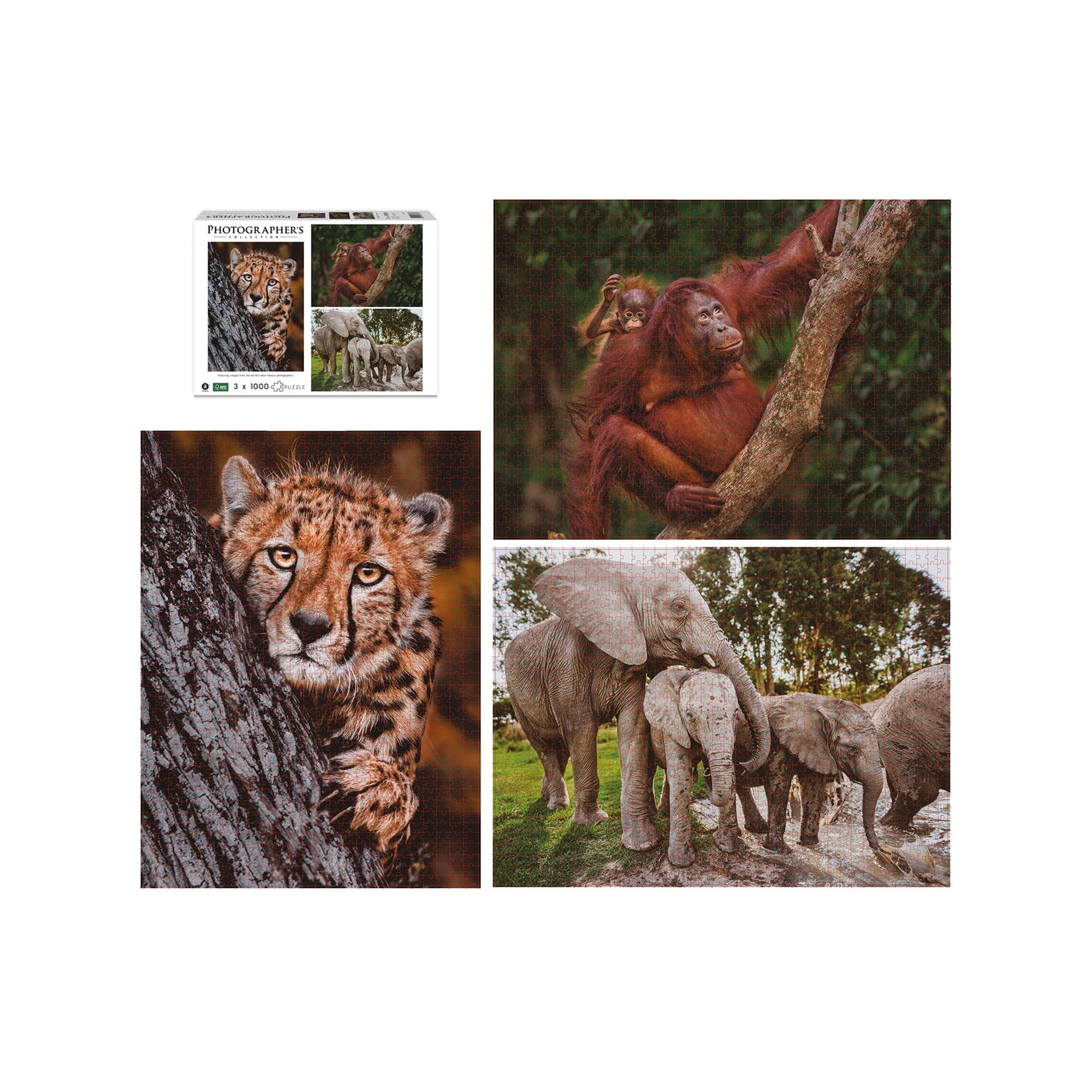 Merchant Ambassador  Puzzle Wildtier Familien, 3 x 1000 Teile 