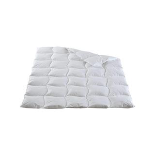 DOR Galant Duvet en Plumes Toute Année  