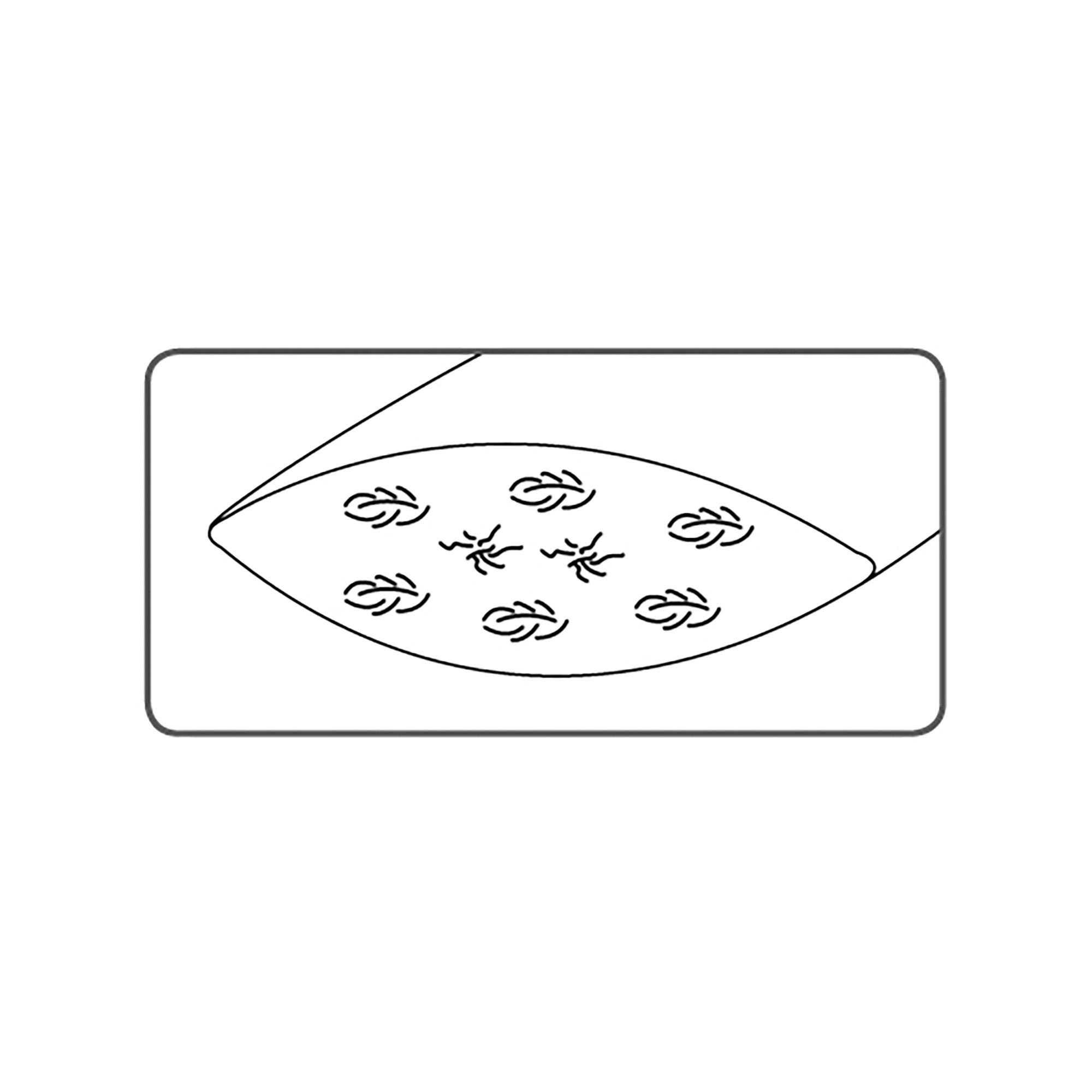 DOR Galant Luxus 1-Kammer-Federkissen  