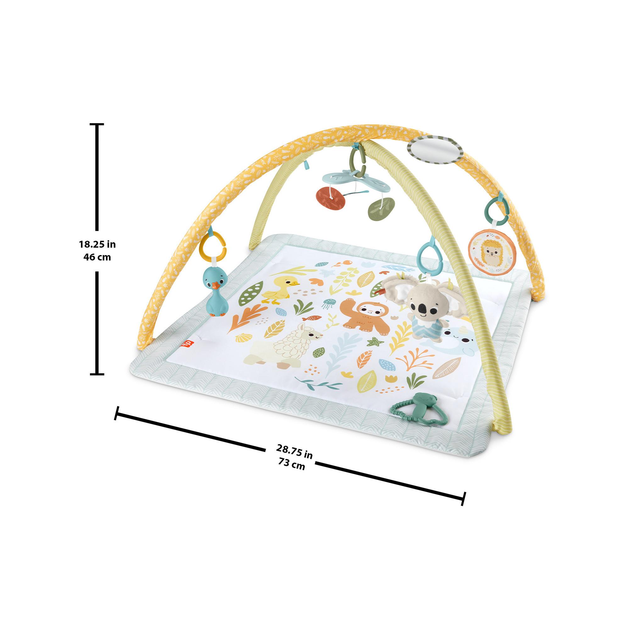 Fisher-Price  Palestrina neonato multisensoriale 