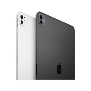 Apple 11 " iPad Pro WiFi 512GB with Standard glass   Space Black Tablet 