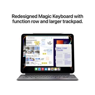 Apple 11 " iPad Pro WiFi 512GB with Standard glass   Space Black Tablette 