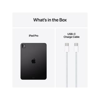 Apple 11 " iPad Pro WiFi 512GB with Standard glass   Space Black Tablet 