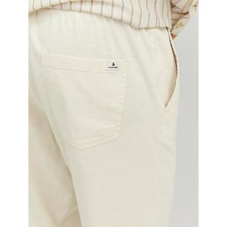 JACK & JONES Stace Dave Breeze Jogger Chino Regular Fit  