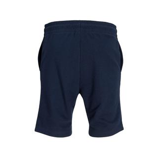JACK & JONES Gordon Simon Sweatshorts  