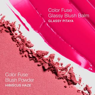 Haus Labs  COLOR FUSE INNOVATION GLASSY BALM + POWDER BLUSH DUO - Blush poudre et crème 