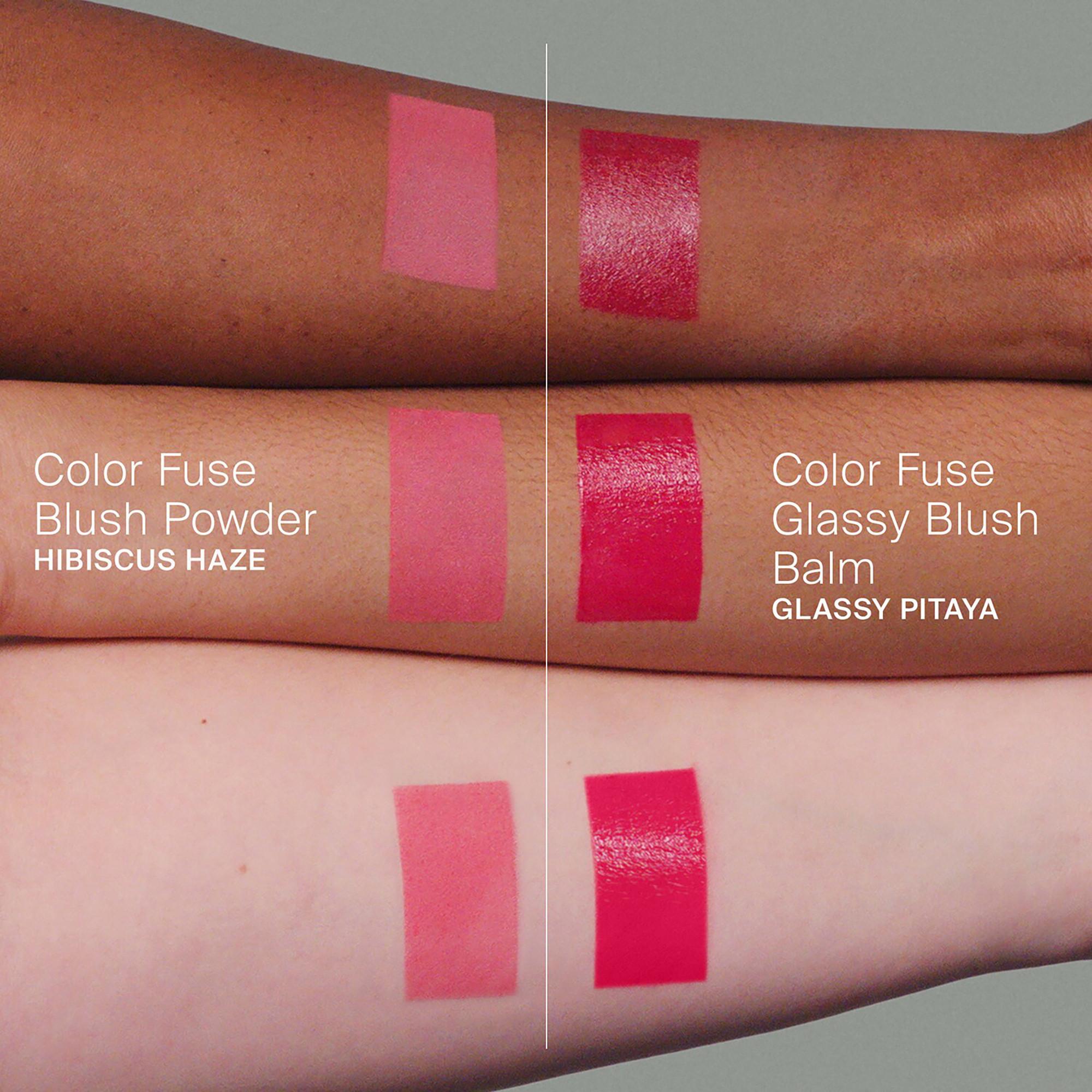 Haus Labs  COLOR FUSE INNOVATION GLASSY BALM + POWDER BLUSH DUO - Blush poudre et crème 