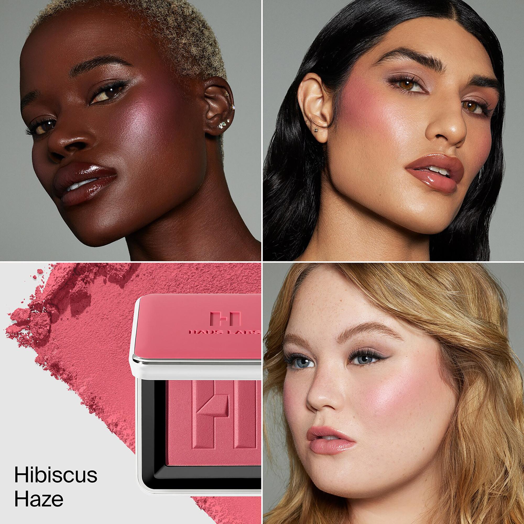 Haus Labs  COLOR FUSE INNOVATION GLASSY BALM + POWDER BLUSH DUO - Blush poudre et crème 