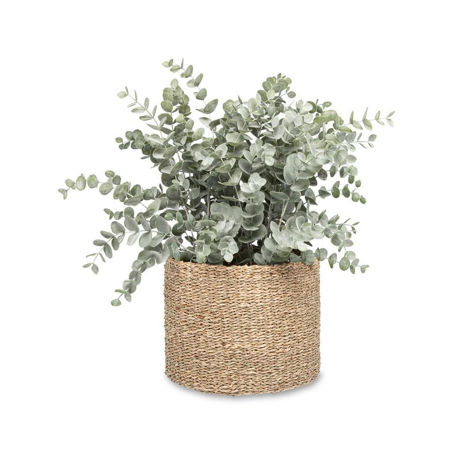 Manor Cestino Børgefjel 